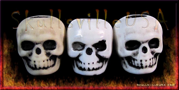 3 skull comparison