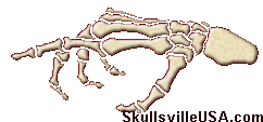 skullsville says look here