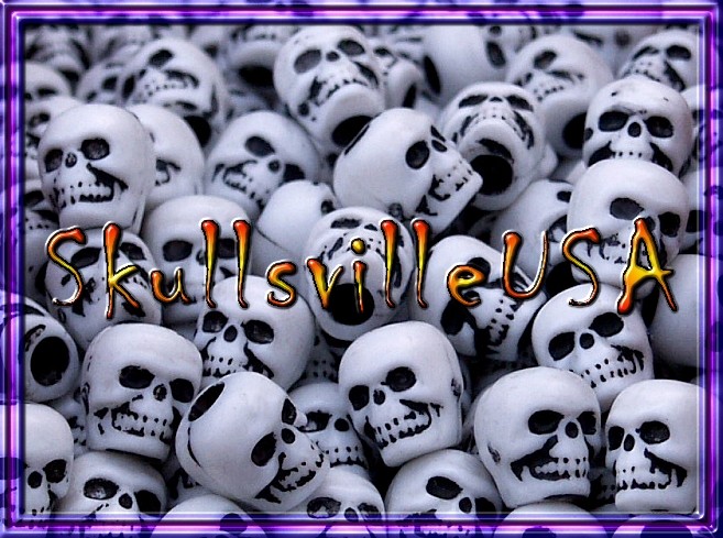 classic acrylic skull beads
