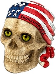 skull flag rag